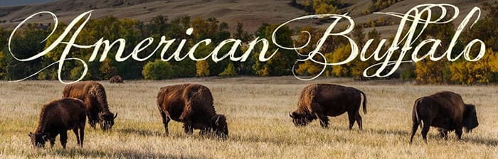 Buffalo Boots Men - American Buffalo