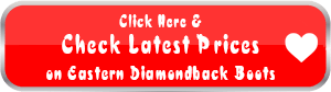 Click To Check Prices On Black Jack Eastern Diamondback Rattlesnake Boots