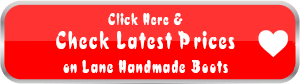 This image has an empty alt attribute; its file name is CheckPricesButtonLane.png