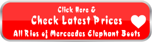 All Rios of Mercedes Elephant Cowboy Boots